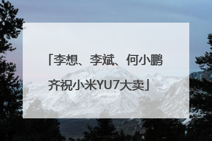 李想、李斌、何小鹏齐祝小米YU7大卖