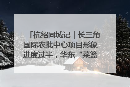 杭绍同城记｜长三角国际农批中心项目形象进度过半，华东“菜篮子”建设加码提速！