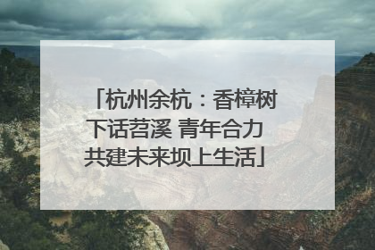杭州余杭：香樟树下话苕溪 青年合力共建未来坝上生活
