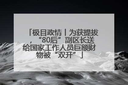 极目政情丨为获提拔，“80后”副区长送给国家工作人员巨额财物被“双开”