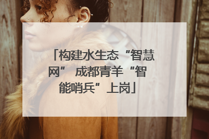 构建水生态“智慧网” 成都青羊“智能哨兵”上岗