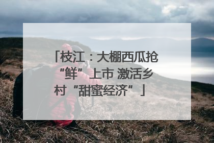 枝江：大棚西瓜抢“鲜”上市 激活乡村“甜蜜经济”