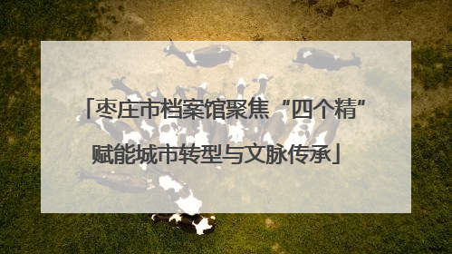 枣庄市档案馆聚焦“四个精” 赋能城市转型与文脉传承