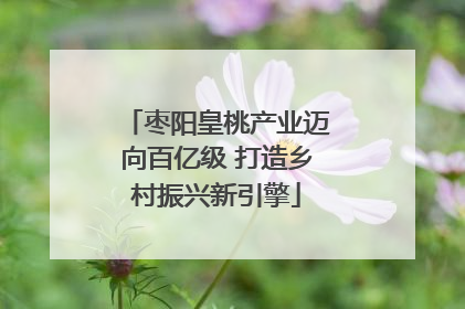 枣阳皇桃产业迈向百亿级 打造乡村振兴新引擎