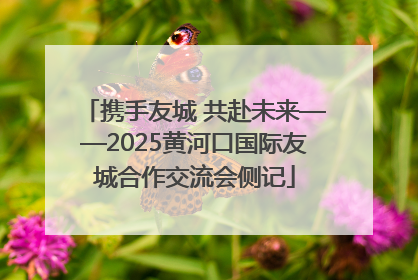 携手友城 共赴未来——2025黄河口国际友城合作交流会侧记