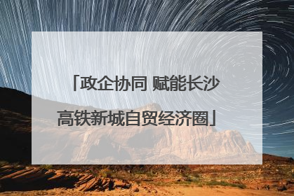 政企协同 赋能长沙高铁新城自贸经济圈