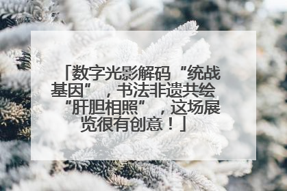 数字光影解码“统战基因”，书法非遗共绘“肝胆相照”，这场展览很有创意！