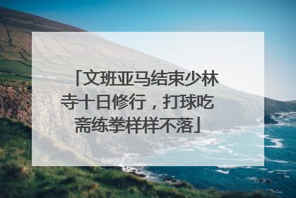 文班亚马结束少林寺十日修行,打球吃斋练拳样样不落