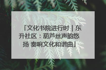 文化书院进行时｜东升社区：葫芦丝声韵悠扬 奏响文化和谐曲