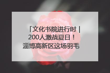 文化书院进行时｜200人激战夏日！淄博高新区这场羽毛球比赛太酷