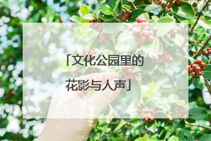 文化公园里的花影与人声