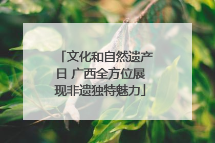 文化和自然遗产日 广西全方位展现非遗独特魅力