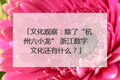 文化观察：除了“杭州六小龙” 浙江数字文化还有什么？