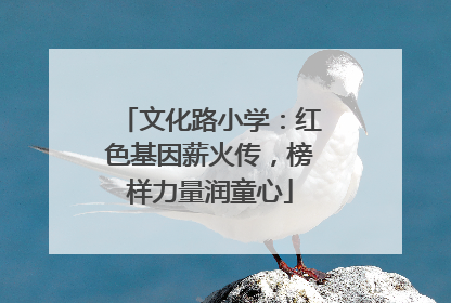 文化路小学：红色基因薪火传，榜样力量润童心