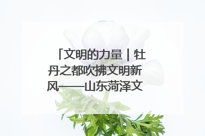 文明的力量｜牡丹之都吹拂文明新风——山东菏泽文明创建一线见闻