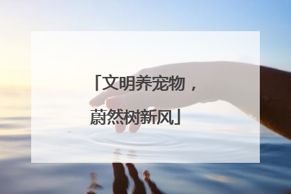 文明养宠物，蔚然树新风