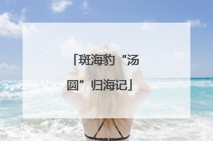 斑海豹“汤圆”归海记