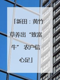 新田：黄竹草养出“致富牛” 农户信心足