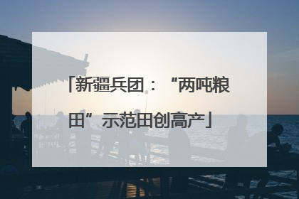 新疆兵团：“两吨粮田”示范田创高产