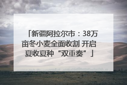 新疆阿拉尔市：38万亩冬小麦全面收割 开启夏收夏种“双重奏”
