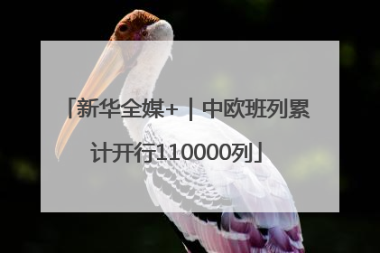 新华全媒+｜中欧班列累计开行110000列