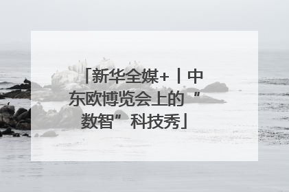 新华全媒+丨中东欧博览会上的“数智”科技秀