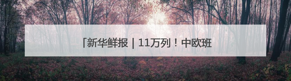 新华鲜报｜11万列！中欧班列跑出亚欧大陆“新时速”