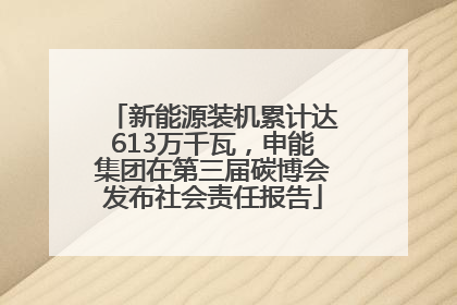 新能源装机累计达613万千瓦，申能集团在第三届碳博会发布社会责任报告