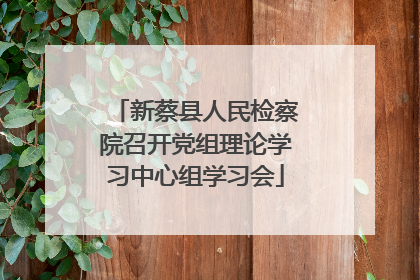 新蔡县人民检察院召开党组理论学习中心组学习会