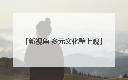 新视角 多元文化壁上观