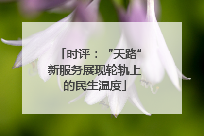 时评：“天路”新服务展现轮轨上的民生温度