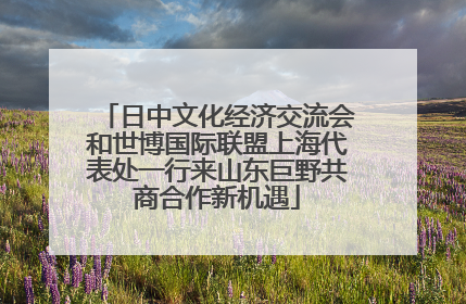 日中文化经济交流会和世博国际联盟上海代表处一行来山东巨野共商合作新机遇