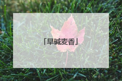 旱碱麦香