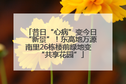昔日“心病”变今日“新景”！东高地万源南里26栋楼前绿地变“共享花园”