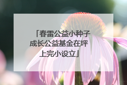 春雷公益小种子成长公益基金在坪上完小设立