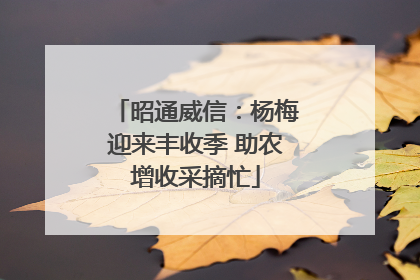 昭通威信：杨梅迎来丰收季 助农增收采摘忙