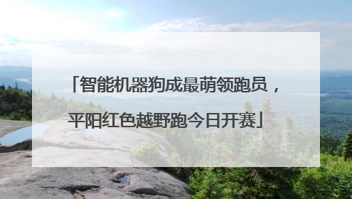 智能机器狗成最萌领跑员，平阳红色越野跑今日开赛
