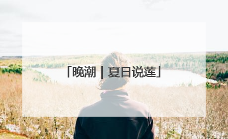 晚潮｜夏日说莲
