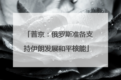 普京：俄罗斯准备支持伊朗发展和平核能
