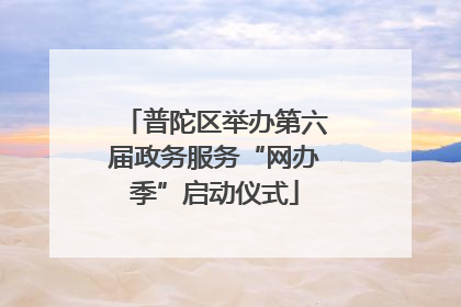 普陀区举办第六届政务服务“网办季”启动仪式