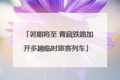 暑期将至 青藏铁路加开多趟临时旅客列车