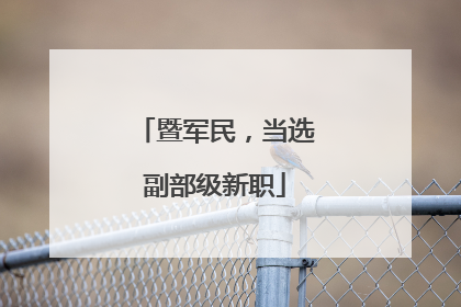 暨军民，当选副部级新职