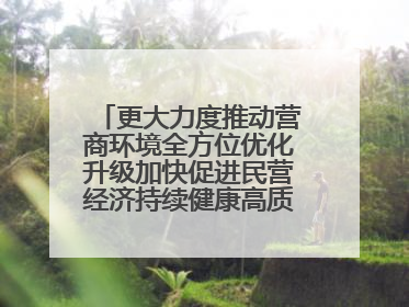 更大力度推动营商环境全方位优化升级加快促进民营经济持续健康高质量发展