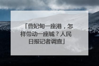 曹妃甸一座港，怎样带动一座城？人民日报记者调查