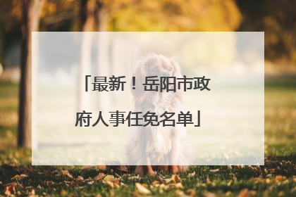 最新！岳阳市政府人事任免名单