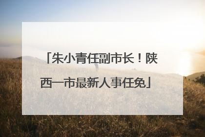 朱小青任副市长！陕西一市最新人事任免