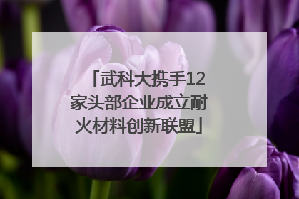 武科大携手12家头部企业成立耐火材料创新联盟