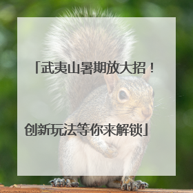 武夷山暑期放大招！创新玩法等你来解锁