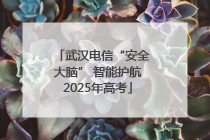 武汉电信“安全大脑” 智能护航2025年高考