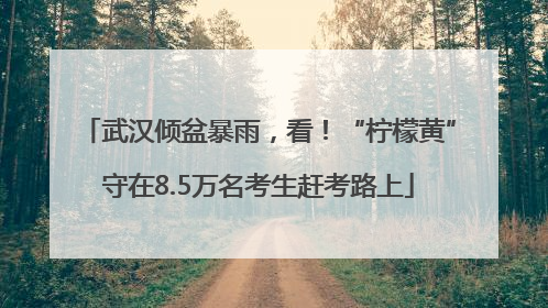 武汉倾盆暴雨，看！“柠檬黄”守在8.5万名考生赶考路上